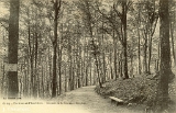 Environs de Plombières. - Chemin de la Fontaine Stanislas (3)